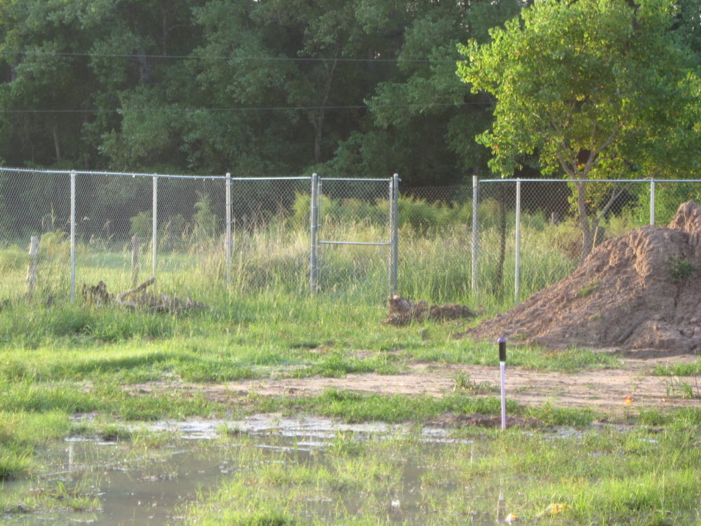 chain link fence in a pearland property