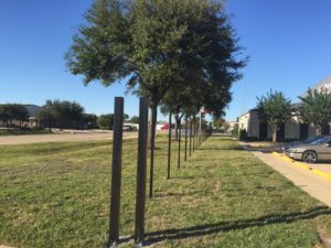 fence posts in a sugar land property