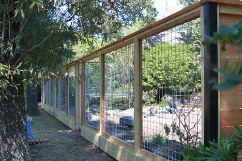 chain link fence on a yard