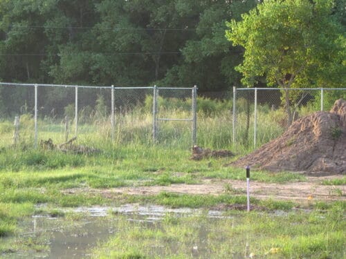 chain link fence in spring