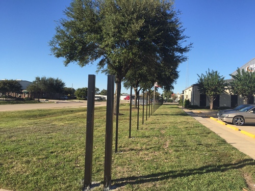 iron fence posts in the woodlands