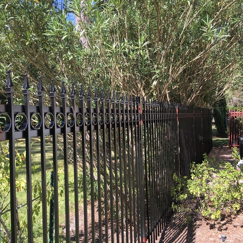 wrought iron fence in the woodlands