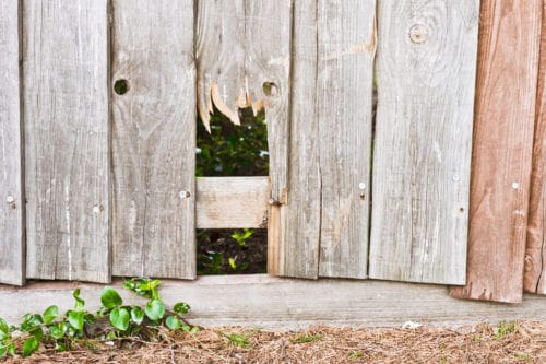 broken fence that needs repair