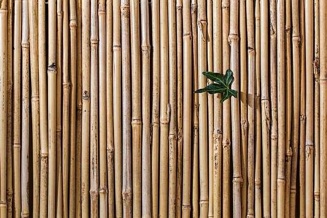 full bamboo screen on chain link fence