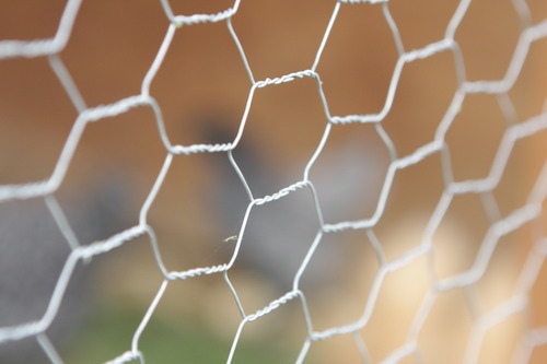 Looking for a cheap way to put up a fence? Read below about some cheap fence ideas.